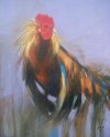 Gallo de Pedro Gallardo - 24 x 30