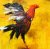 Gallos de Pedro Gallardo - En venta